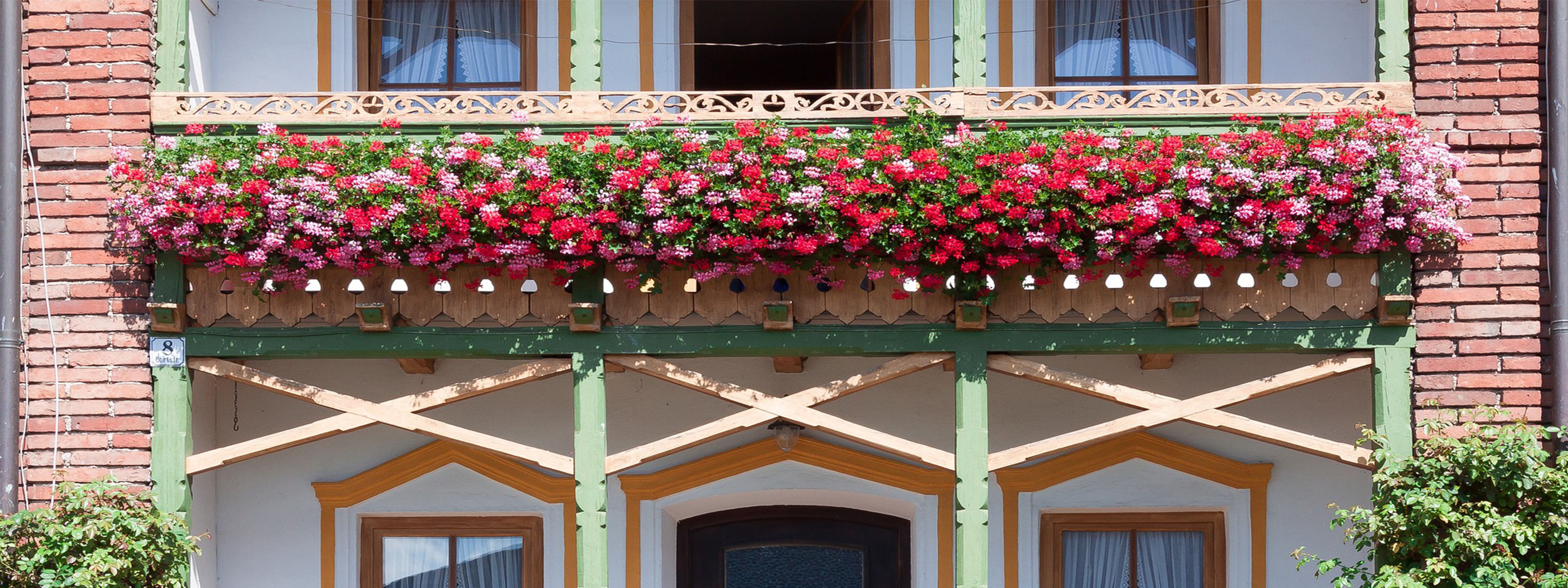 piante da balcone soleggiato