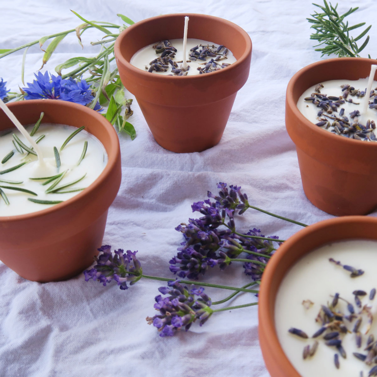 SOL 15 candele bianche non profumate a lunga combustione, 3,5 ore di combustione, ideali per casa, relax, spa, massaggi, cene romantiche, matrimoni e anniversari, decorazioni festive, fai da te e