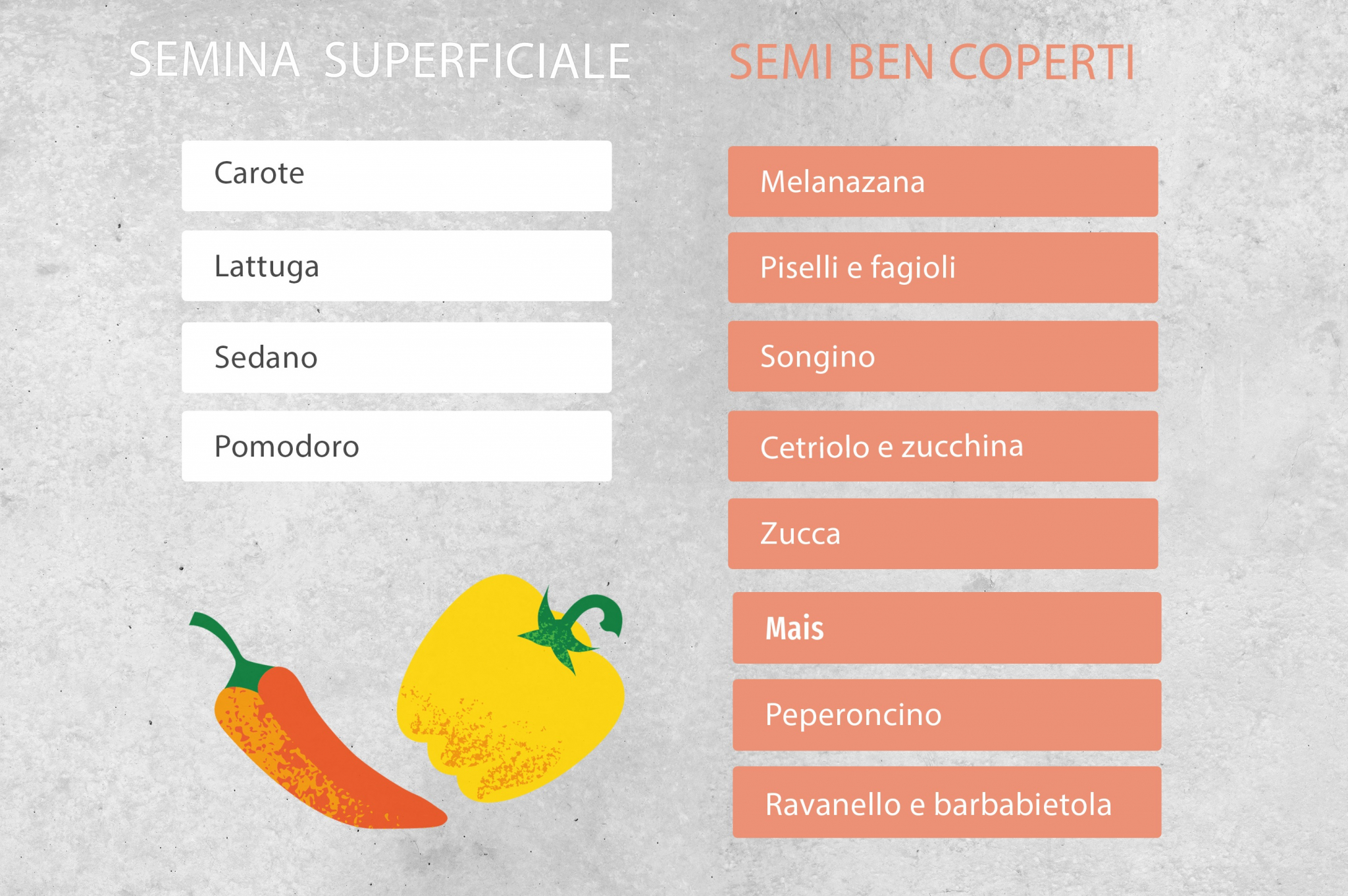 Semina degli ortaggi la guida completa » undergreen.it